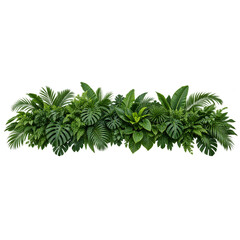 Lush monstera and palm foliage horizontal banner frame element © MR_Designer