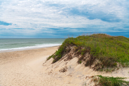 A vegetated sand dune borders an empty beach along the North Carolina coast.