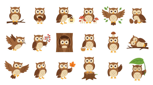 Cute Owls Set Woodland Animals Collection