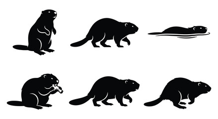 Six black silhouettes of beavers in various poses against a white background © Fahima