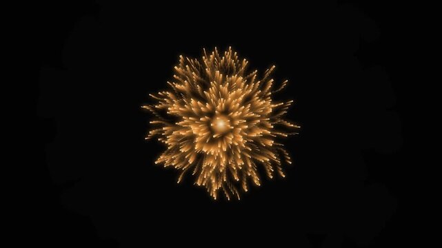 Golden firework explosion on black background