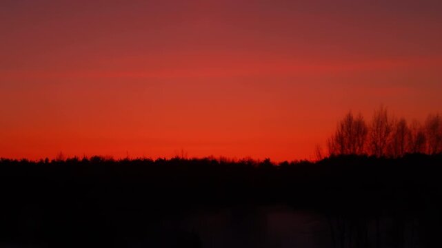 Crimson sunset sky over dark forest treeline. Orange twilight glowing horizon.