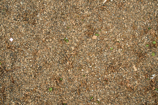 Fine gravel and coarse sand texture background
