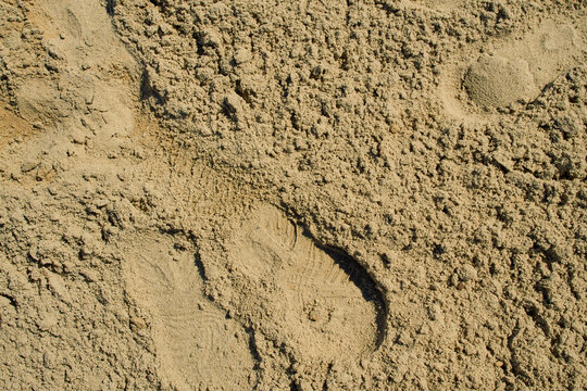top-down close-up shot of a patch of damp yellow sand with a light human footprint compression