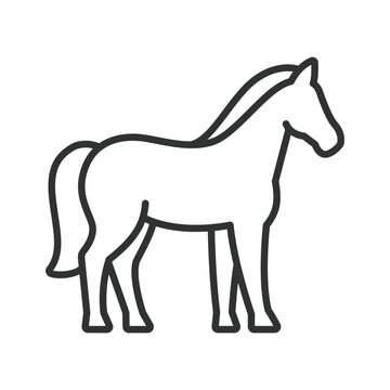 Farm animal horse icon in line design. Horse, animal, farm, livestock, nature, mammal, equestrian on white background vector. Domestic editable stroke icon