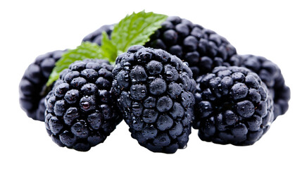 Isolated close-up of fresh wet blackberries with mint leaves, healthy organic berry fruit © Aoife