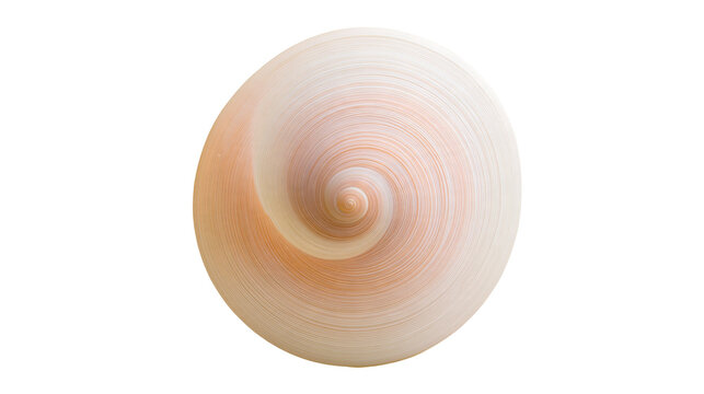 Isolated beautifully formed subtle seashell spiral or rolled paper abstract art pattern
