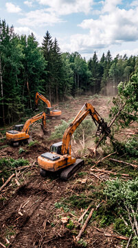 Excavators clearing dense forest for deforestation and land development

