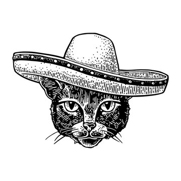Cat dressed in sombrero. Vintage black engraving illustration. Isolated on white background. Hand drawn design element for poster