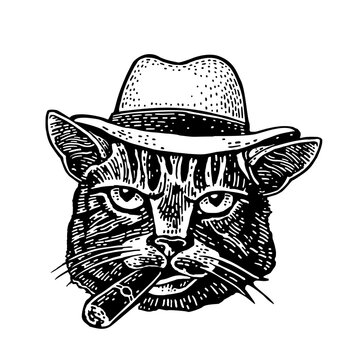 Cat smoking cigar. Don mafia dressed in a hat, suit, waistcoat. Vintage black engraving illustration. Isolated on white background. Hand drawn design for t-shirt and poster