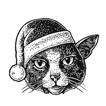 Cat head dressed Santa Claus hat. Vintage monochrome engraving illustration for poster. Isolated on white background