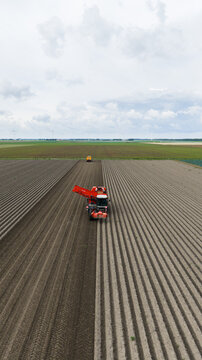 Aerial view of a red potato harvester working in a large, plowed field with wind turbines in the distance in Zeewolde, Flevoland, Netherlands.