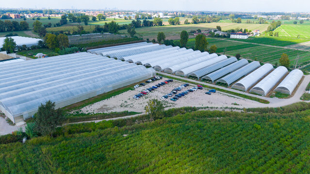 Aerial view of a large greenhouse complex with rows of arched plastic tunnels, a gravel parking lot with parked cars, and surrounding agricultural fields in Milan, Lombardy, Italy.