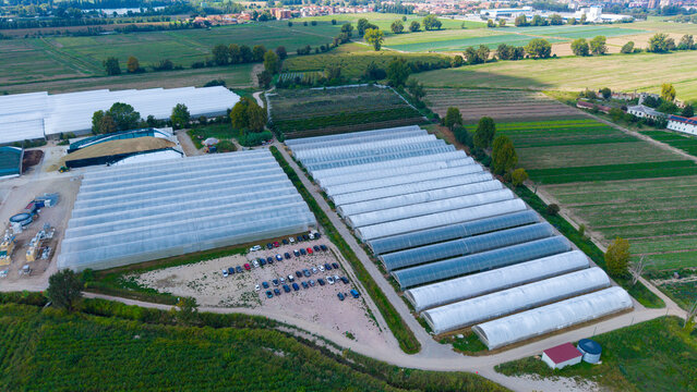 Aerial view of a large greenhouse complex with rows of white plastic tunnels, a parking area with parked cars, and surrounding agricultural fields in Milan, Lombardy, Italy.