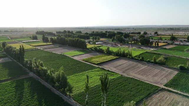 Aerial view of green farmland and arable fields landscape
