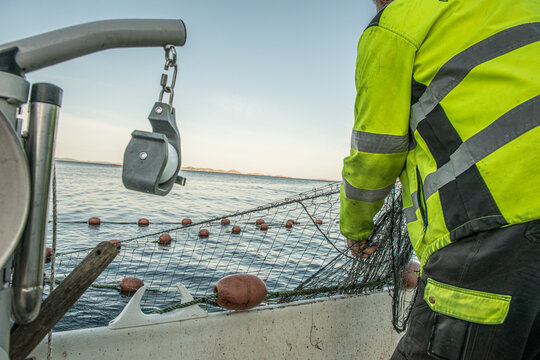 Commercial fisherman hauling fishing net aboard coastal boat.