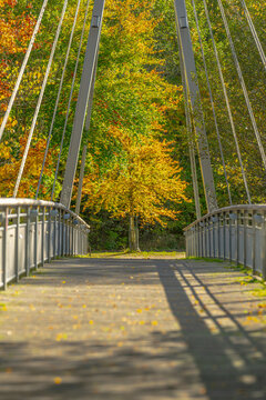 Suspension pedestrian bridge surrounded by vibrant autumn foliage.