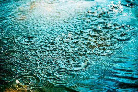 Concentric circular ripples expanding across dark water, distorting the reflections of green trees and sky on the surface.
