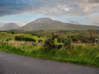 Winding road cuts through lush green fields under cloudy skies. Distant mountains rise with gentle slopes and scattered trees. Landscape invites calmness, perfect for travel or nature themes © mark_gusev