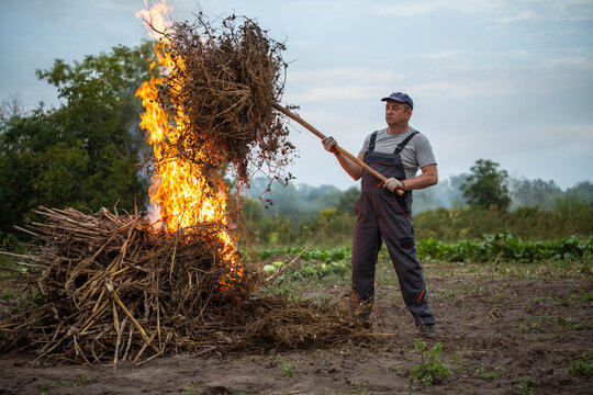 Man in work overalls manages brush fire with pole on rural field. Burning pile of dry plants and crop residue sends flames upward as farm worker stands alert beside smoldering debris.