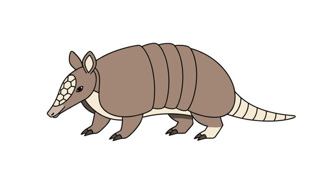 Detailed color vector illustration of an armadillo showing its protective bony plates, pointed snout, and segmented shell design.