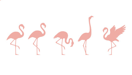 Obraz premium A lovely lineup of pink flamingos in various poses representing tropical wildlife, exotic birds, and nature photography.