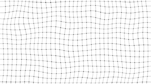 animation of a black Dots and grid mesh waving a clean white background. Ideal for modern tech, mathematical concepts, structure, and abstract pattern visuals.