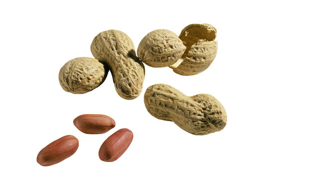 Isolated close up of fresh organic peanuts, whole in shell and shelled kernels ready for snack time
