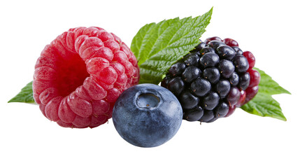 Isolated fresh mix of red raspberry, blue blueberry, and dark blackberry with vibrant green leaves © Oisin