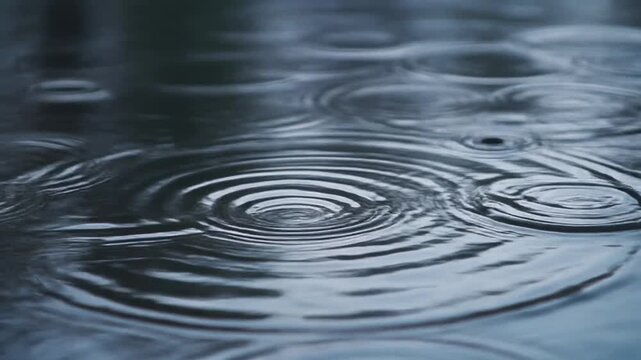 Gentle raindrops creating concentric ripples on the surface of a dark, reflective body of water, evoking tranquility and the natural phenomenon of water displacement on a subdued, atmospheric