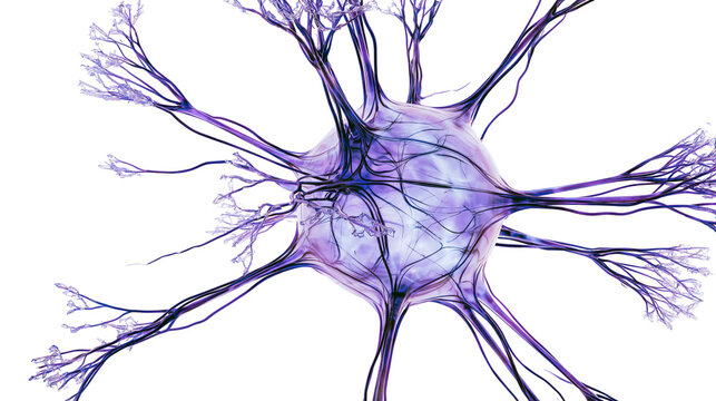 Isolated stylized purple neuron illustration of a complex human brain nerve cell structure