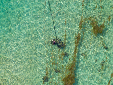 Aerial view of a person fishing in the clear shallow waters of the coast, surrounded by patches of seaweed and sandy seabed in Kecamatan Denpasar Selatan, Bali, Indonesia.