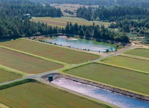 Aerial view of cranberry bogs with irrigation ponds and surrounding forest in Bandon, Oregon, United States.