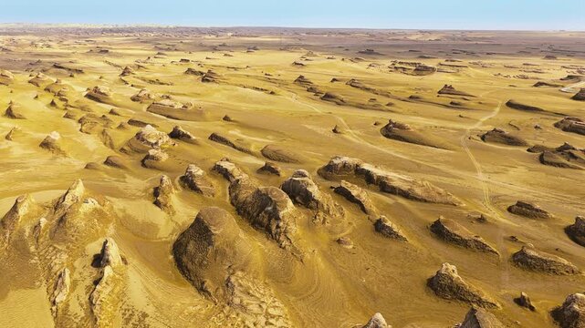 High angle view reveals vast yardang landforms stretching across a dry desert landscape under clear bright daylight.
