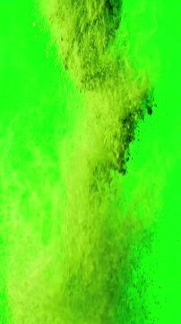 Fine vibrant green matcha tea powder falling slowly against a chroma key green background for easy video compositing and editing