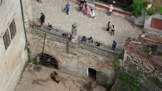 Brown bear in the moat at Cesky Krumlov Castle in Czech Republic with tourists above