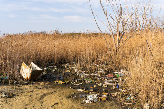 View of Lake Varna shoreline covered in plastic waste and debris, with an old bathtub discarded among dry reeds in Varna, Bulgaria.