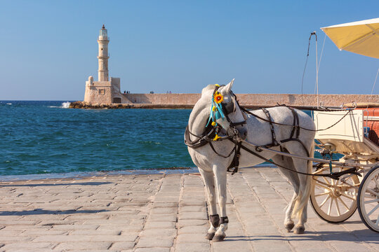 White horse with a traditional carriage on the waterfront overlooking the historic lighthouse of Chania Old Venetian Harbor in Crete, Greece.