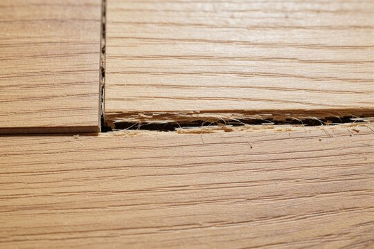 Close up of damaged laminate flooring with large cracks, gaps. Broken wood planks show swelling, deformation from water damage poor quality. Surface texture ruined material, splintered edges in old