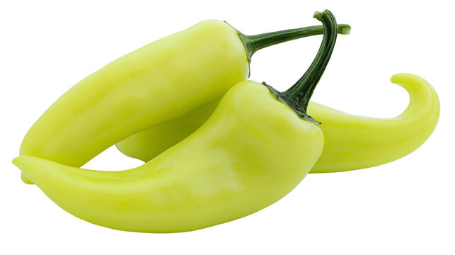 Isolated fresh trio of light green mild chili peppers with vibrant green stems arranged