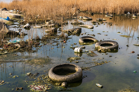 View of Lake Varna polluted with discarded tires, plastic waste, and debris amidst reeds in Varna, Bulgaria.