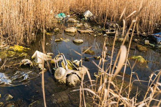 View of plastic waste and debris polluting the marshy shoreline of Lake Varna, Varna, Bulgaria.
