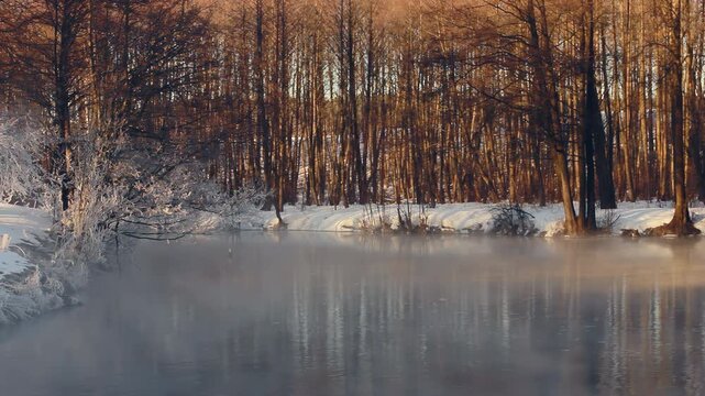 Frosty river steaming sunrise. Hoarfrost trees snowy riverbank winter forest.