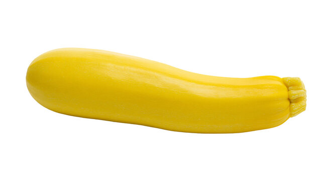 Isolated fresh yellow zucchini squash, healthy organic raw summer vegetable ready for cooking