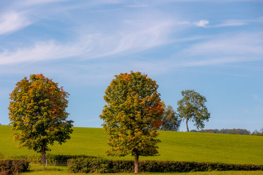 Autumn landscape, Terrain hilly countryside of Zuid-Limburg, Slope hill, green grass and trees with yellow, orange leaves, Epen is a village in the southern of Dutch province of Limburg, Netherlands.