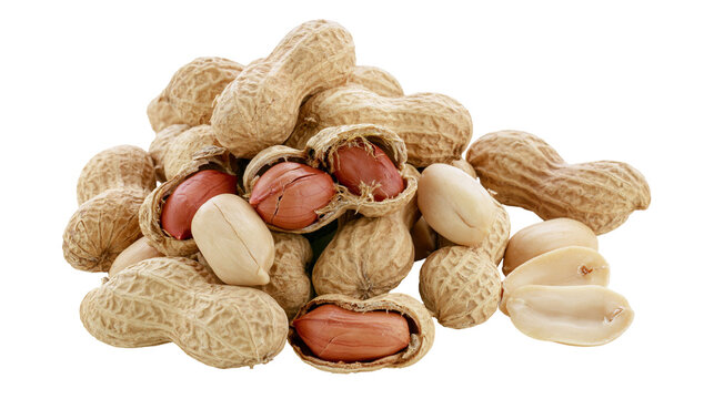 Isolated pile of fresh raw peanuts, some shelled and some in their textured brown shells.