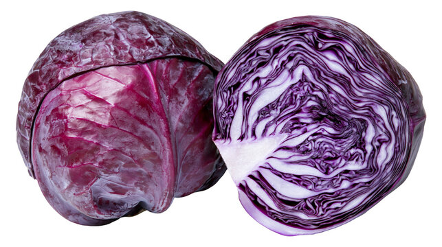 Isolated whole and cut red cabbage revealing vibrant purple color and fresh texture