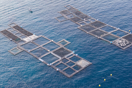 Aerial view of fish farming cages floating in the Mediterranean Sea off the coast of Antibes, Provence-Alpes-Cote d'Azur, France.