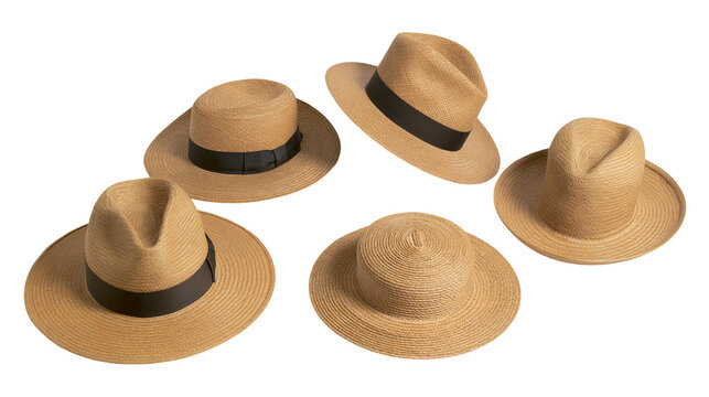 Isolated group of diverse straw hats with black bands, essential summer and beach accessories.