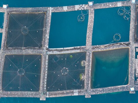 Aerial view of fish farming cages floating in the clear blue sea in Antibes, Provence-Alpes-Cote d'Azur, France.